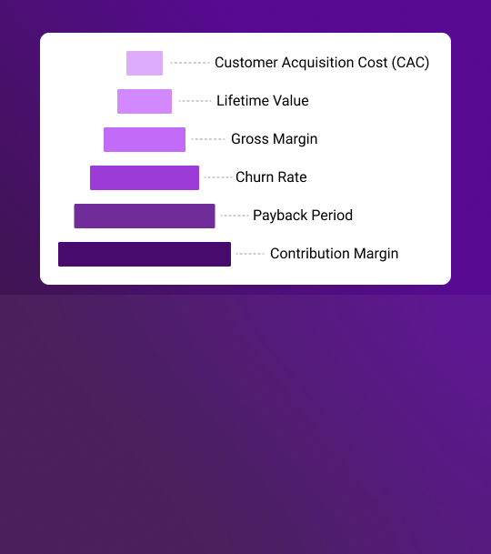 Unit economics report