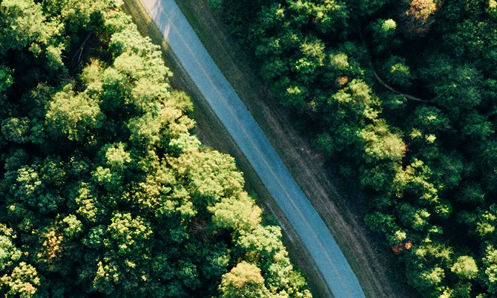 EUDR Compliance in EU Manufacturing