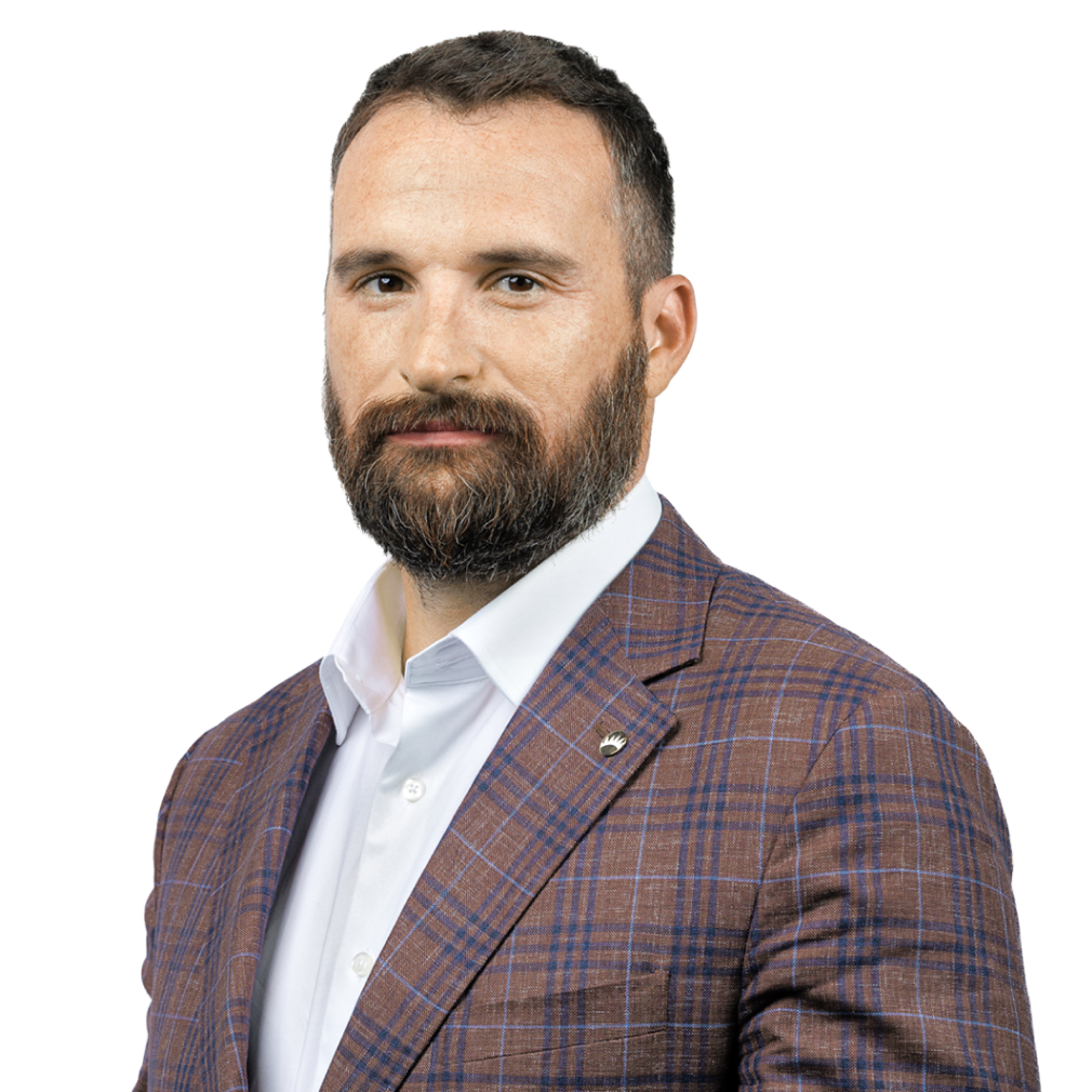 Driving Innovation and Tailored IT Solutions