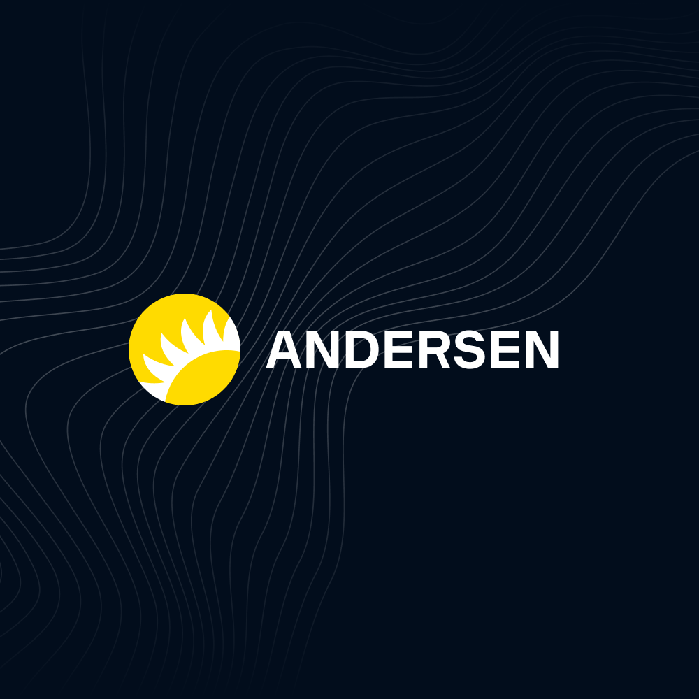 Reliable Custom Software Development Company Andersen