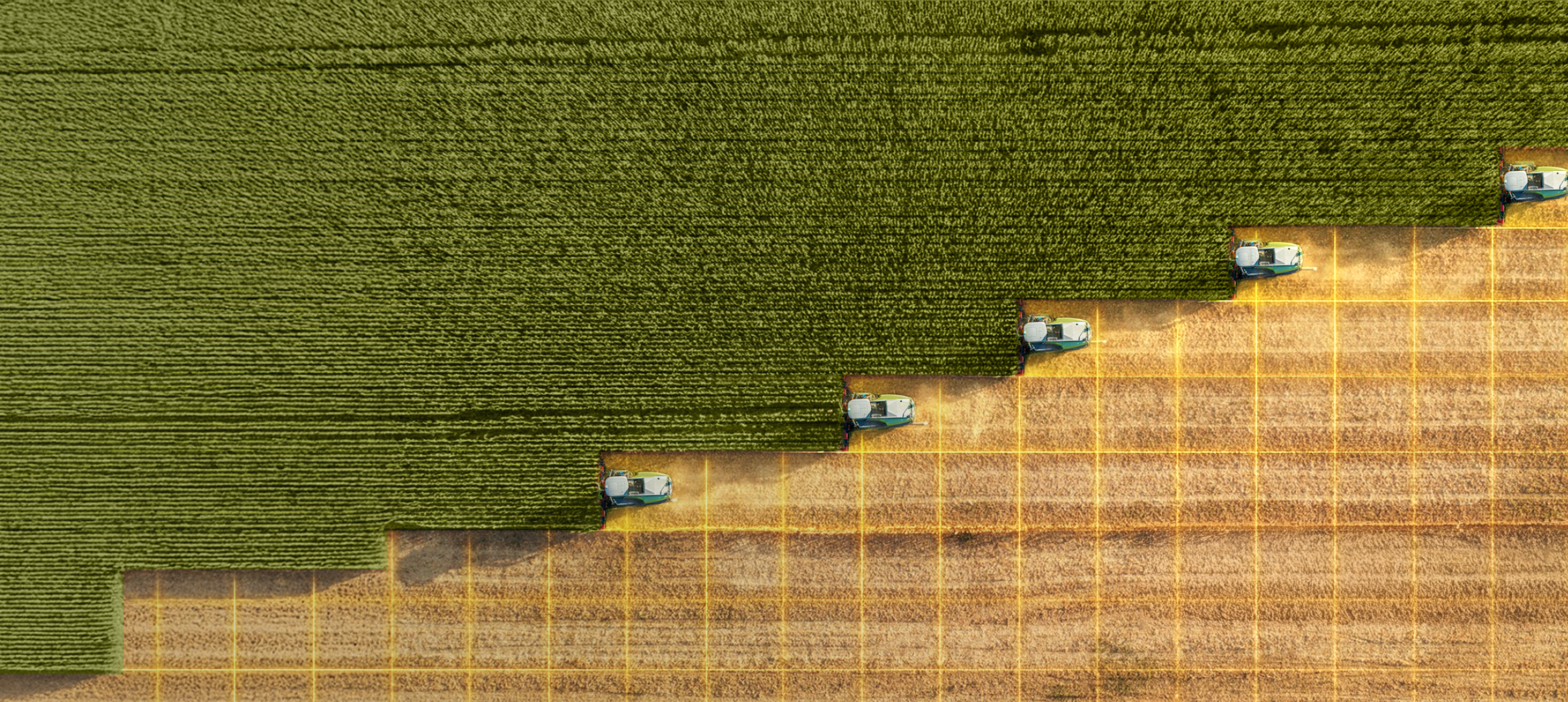 Farming the Future of Agri-Finance through Innovation